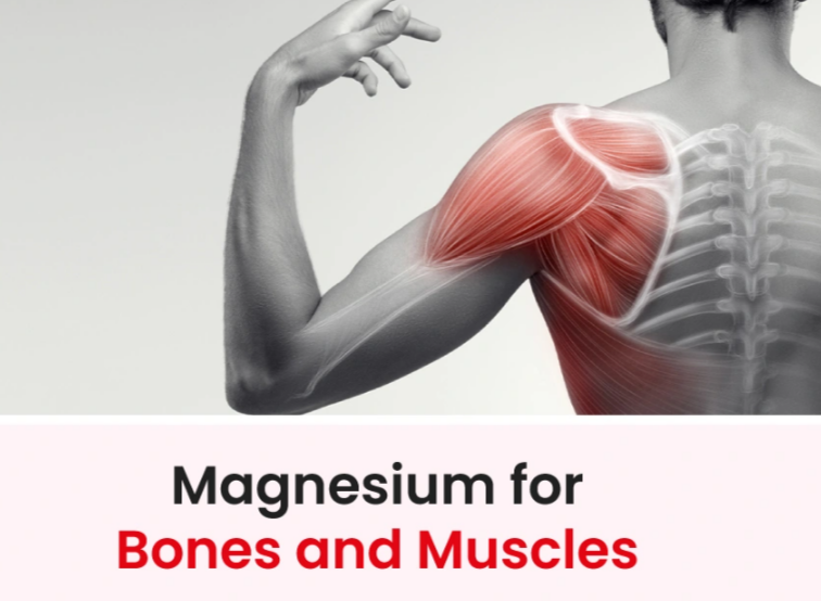 Magnesium Supplement for bones