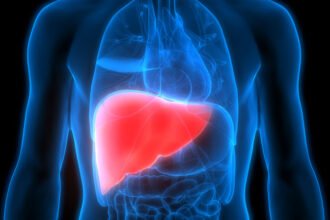 Liver