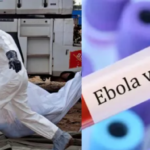Ebola