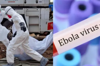 Ebola