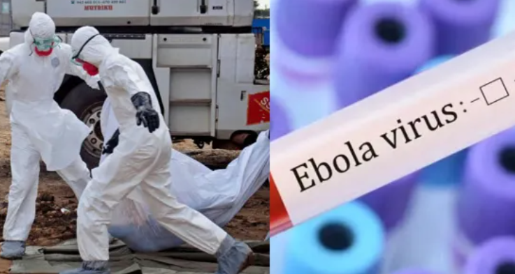 Ebola